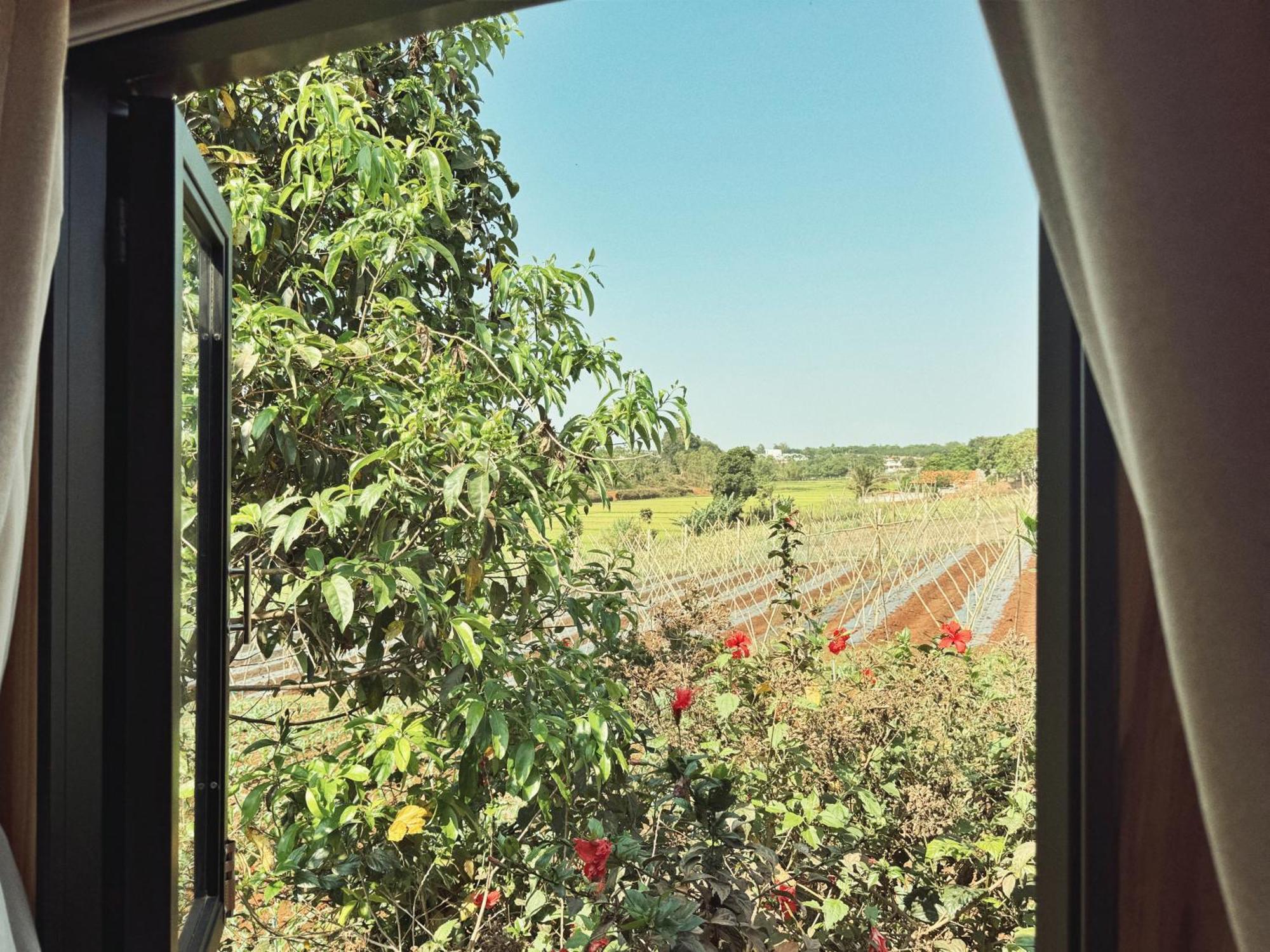 Xom Organic Farm Stay Pleiku Exteriér fotografie